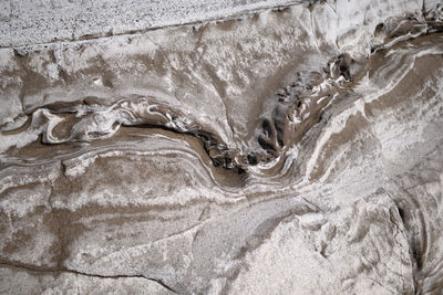 Full frame shot of turtle in water