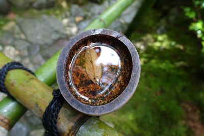 High angle view of water in wood container tied on bamboo