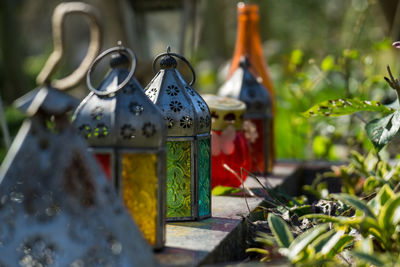 Close up of lanterns on field