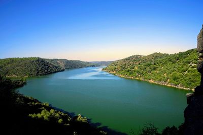 Scenic view of river amidst trees against clear blue sky