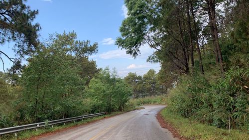 Empty road amidst trees against sky