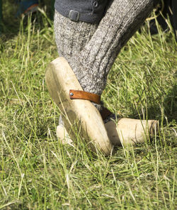 Close-up of horse on field