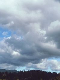 Low angle view of trees against cloudy sky