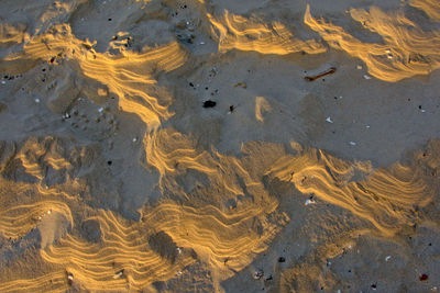 High angle view of wet sand