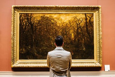 Rear view of man standing in museum