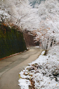 Road amidst frozen trees during winter