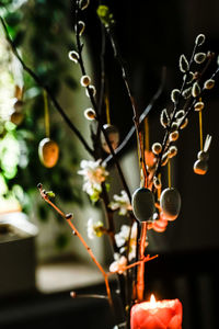 Fresh easter table decoration with apple blossom and weidenkätzen