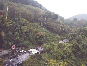 Scenic view of farm against sky