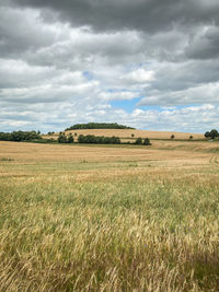 Scenic view of agricultural field against sky