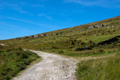 Road amidst field against sky