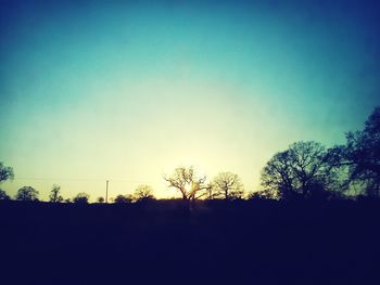 Silhouette of trees at sunset