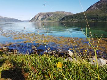 Scenic view of lake and mountains against sky