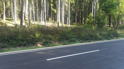 Road amidst trees in forest