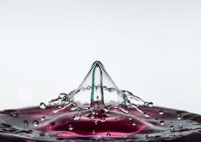 Close-up of splash crown against white background