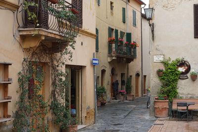 Potted plants on alley amidst buildings in city