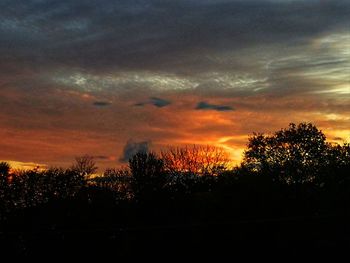 Silhouette trees against sky during sunset