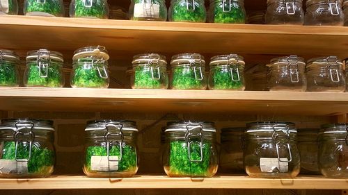 Close-up of bottles in jar