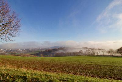 Scenic view of agricultural field against sky