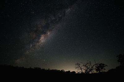 Low angle view of silhouette trees against sky at night