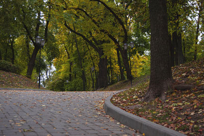 Road amidst trees in park during autumn