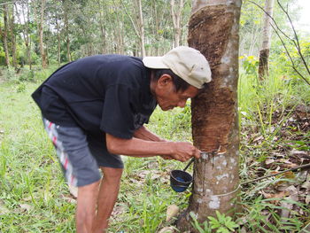 Man working in forest