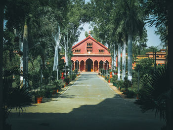 Footpath amidst plants in garden