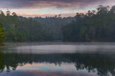 Scenic view of lake by trees against sky