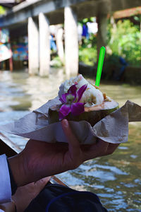 Close-up of hand holding purple flower