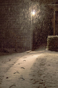 Illuminated light at night