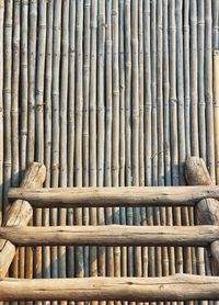 High angle view of bamboo in forest