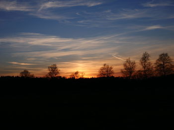Silhouette trees against sky during sunset