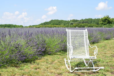 Empty chairs on field against sky