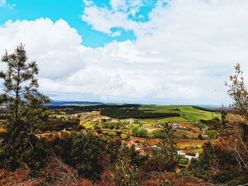 Plants growing on land against sky