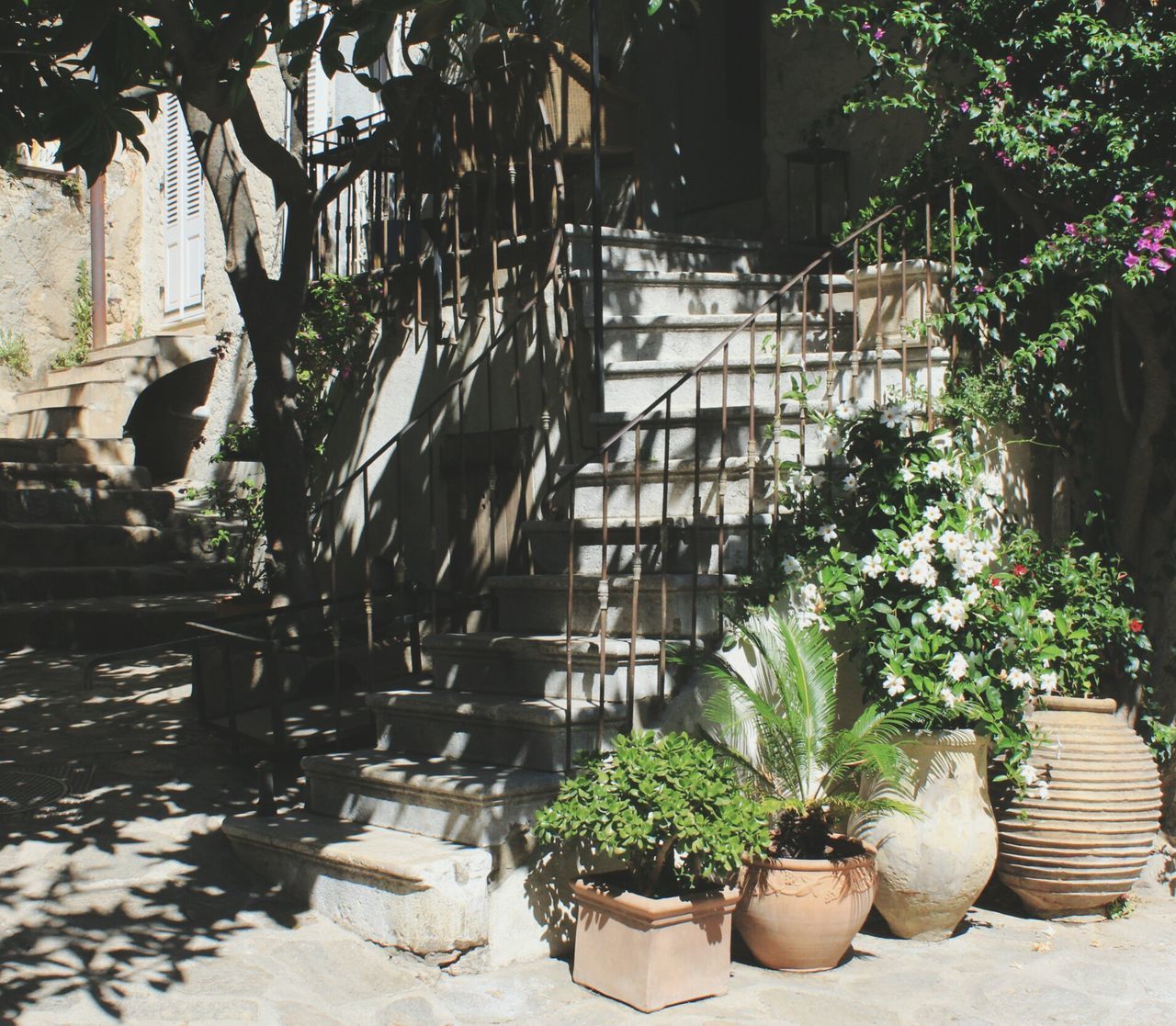 plant, potted plant, growth, built structure, architecture, in a row, nature, pot plant, outdoors, houseplant, day, large group of objects, growing, freshness, order, no people, formal garden