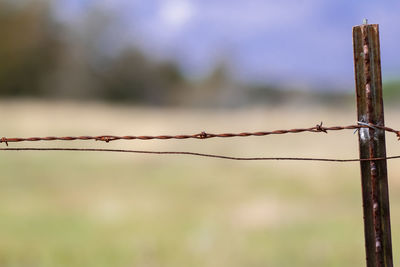 Close-up of barbed wire fence