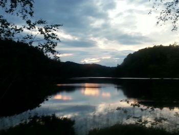 Reflection of trees in lake