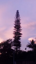 Low angle view of silhouette trees against sky during sunset