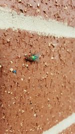 Close-up of sand