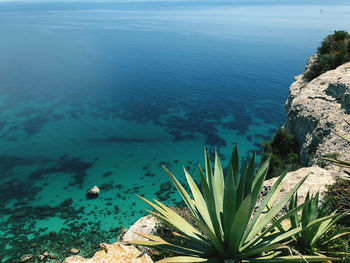 High angle view of sea and rocks