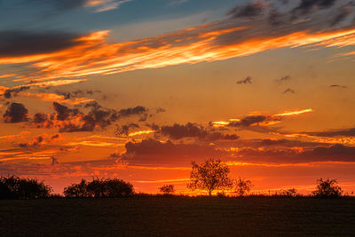 Silhouette trees on field against romantic sky at sunset