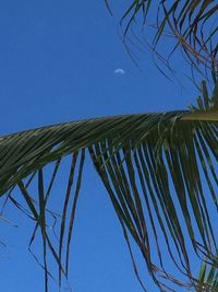 Low angle view of clear blue sky