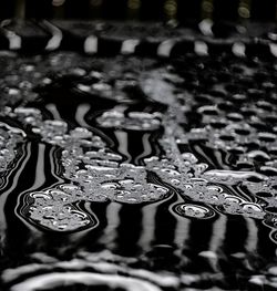 High angle view of raindrops on leaves