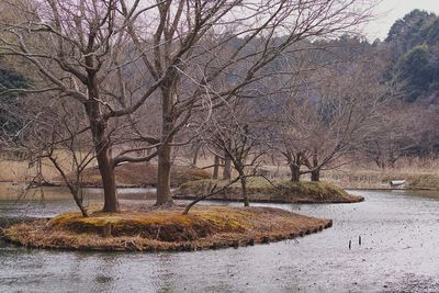 Bare trees by river against sky during winter