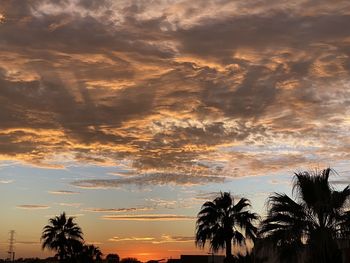 Low angle view of silhouette trees against sky during sunset