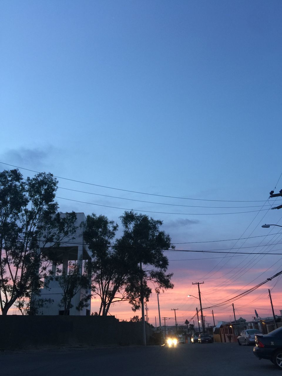 tree, sky, outdoors, nature, silhouette, no people, rollercoaster, sunset, day