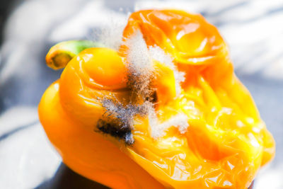 Close-up of orange fruit