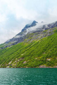 Fjord in norway - nature and travel background. beautiful view of the coast of fjord on a summer day