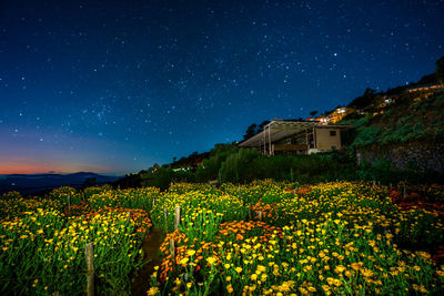 Scenic view of field against sky at night