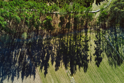 Aerial view of  kaunas lagoon regional park