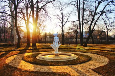 Rear view of woman standing at park during sunset